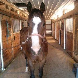 Meet your Posher, Jessica